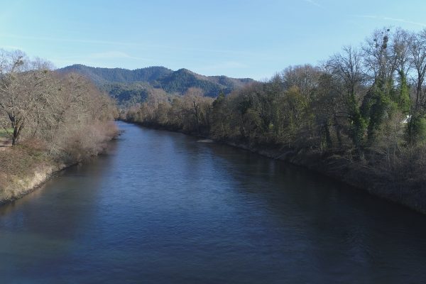 DCIM100MEDIADJI_0041.JPG