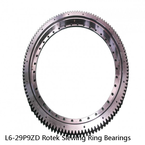 L6-29P9ZD Rotek Slewing Ring Bearings