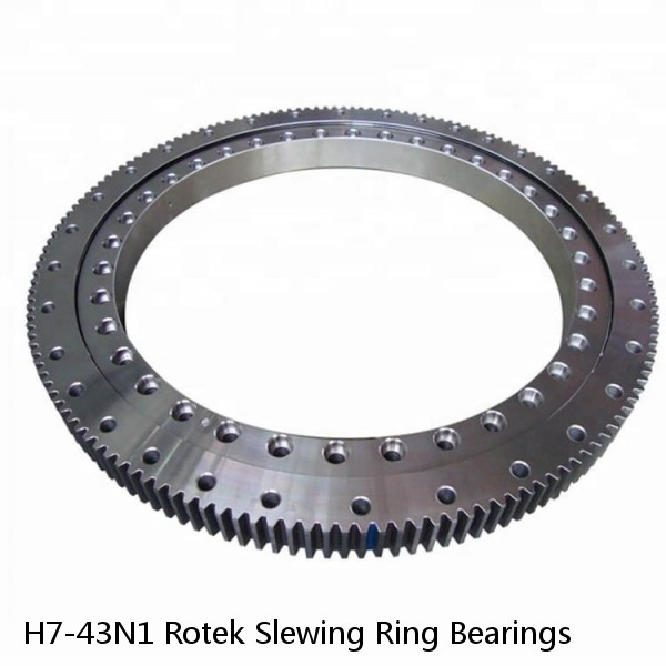 H7-43N1 Rotek Slewing Ring Bearings