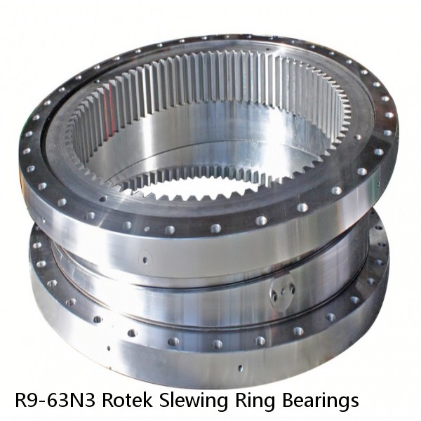 R9-63N3 Rotek Slewing Ring Bearings