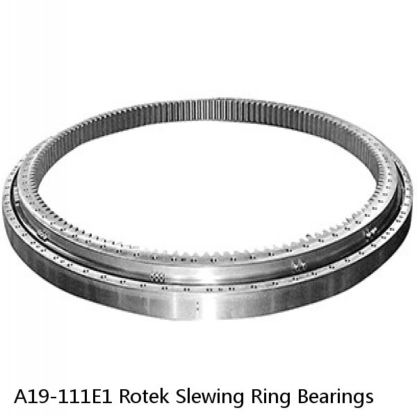 A19-111E1 Rotek Slewing Ring Bearings