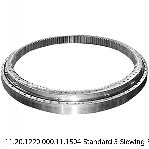 11.20.1220.000.11.1504 Standard 5 Slewing Ring Bearings