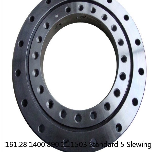 161.28.1400.890.11.1503 Standard 5 Slewing Ring Bearings