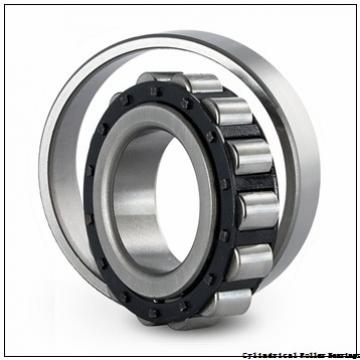 75 mm x 160 mm x 37 mm  NSK N 315 W Cylindrical Roller Bearings