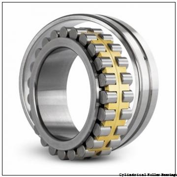 35 mm x 62 mm x 36 mm  INA SL045007-PP Cylindrical Roller Bearings