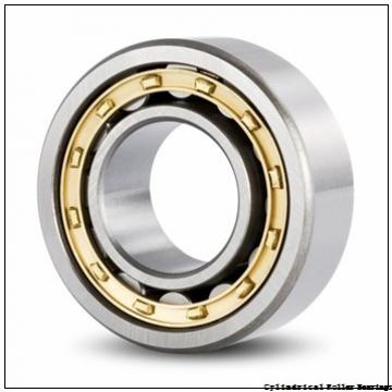 20 mm x 42 mm x 16 mm  INA SL183004 Cylindrical Roller Bearings