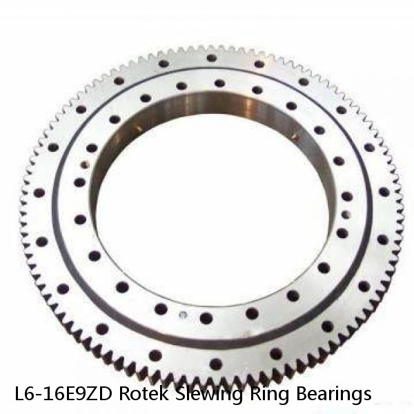 L6-16E9ZD Rotek Slewing Ring Bearings