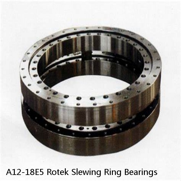 A12-18E5 Rotek Slewing Ring Bearings