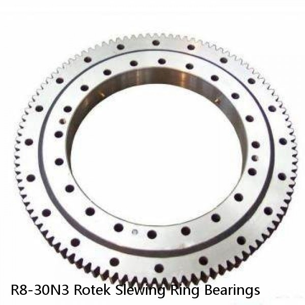 R8-30N3 Rotek Slewing Ring Bearings