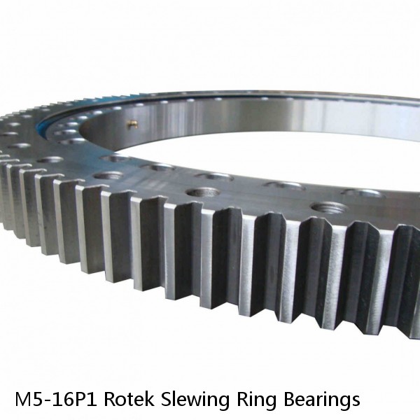 M5-16P1 Rotek Slewing Ring Bearings