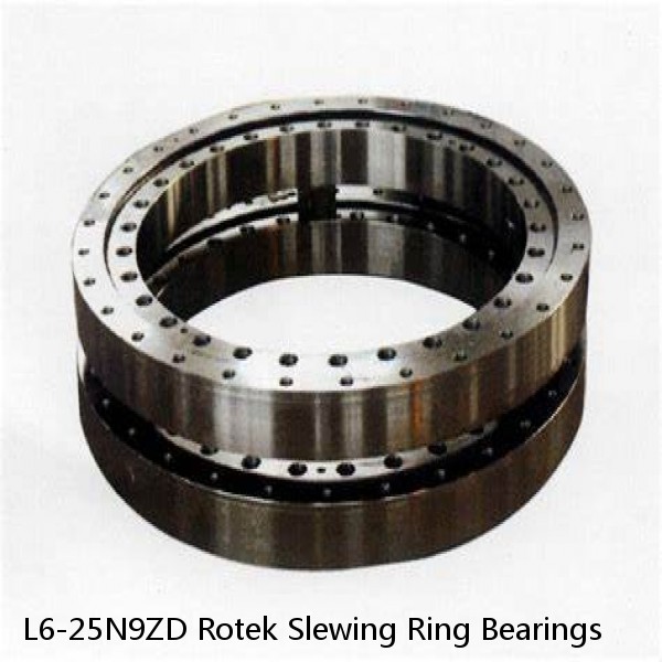 L6-25N9ZD Rotek Slewing Ring Bearings