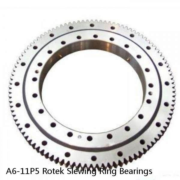 A6-11P5 Rotek Slewing Ring Bearings