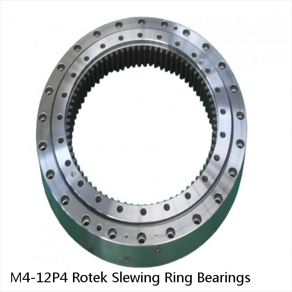 M4-12P4 Rotek Slewing Ring Bearings