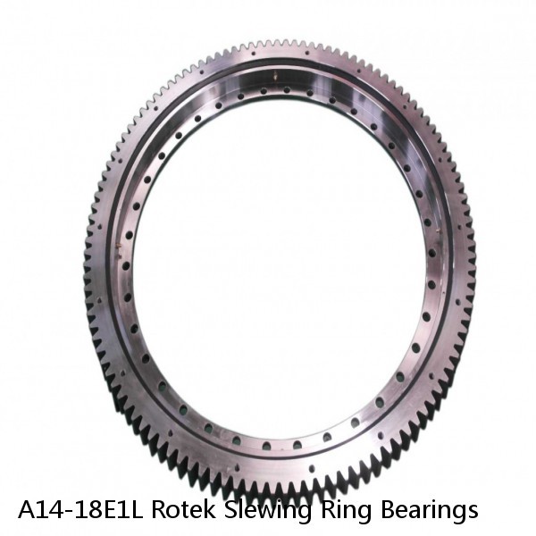 A14-18E1L Rotek Slewing Ring Bearings