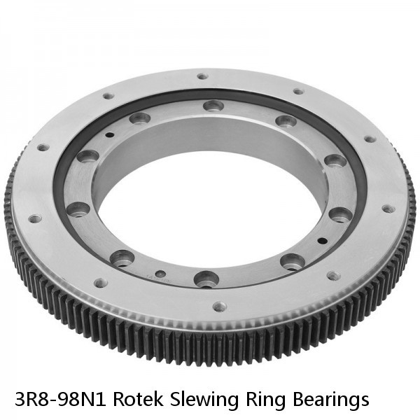 3R8-98N1 Rotek Slewing Ring Bearings