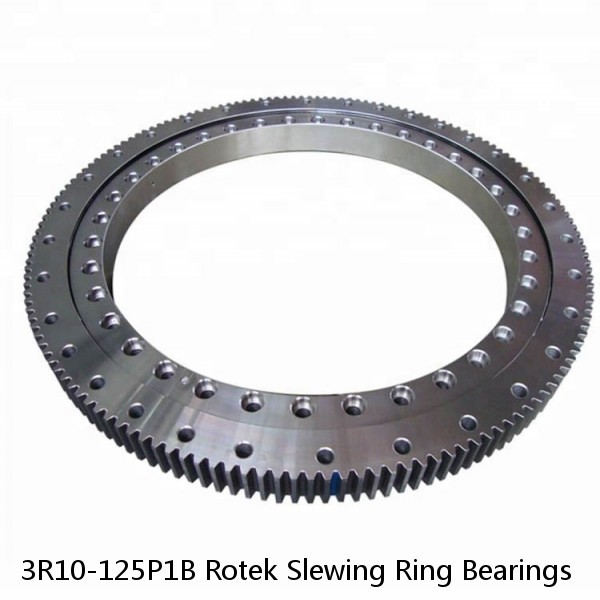 3R10-125P1B Rotek Slewing Ring Bearings