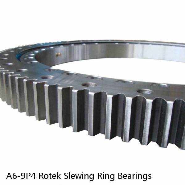 A6-9P4 Rotek Slewing Ring Bearings