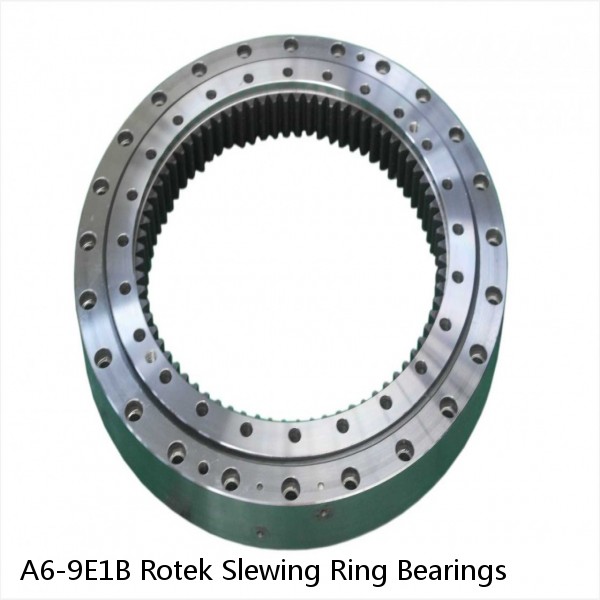 A6-9E1B Rotek Slewing Ring Bearings