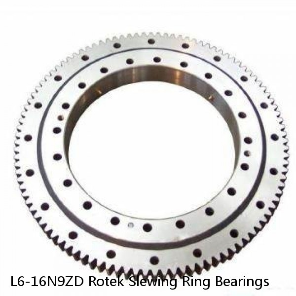 L6-16N9ZD Rotek Slewing Ring Bearings