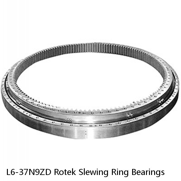 L6-37N9ZD Rotek Slewing Ring Bearings