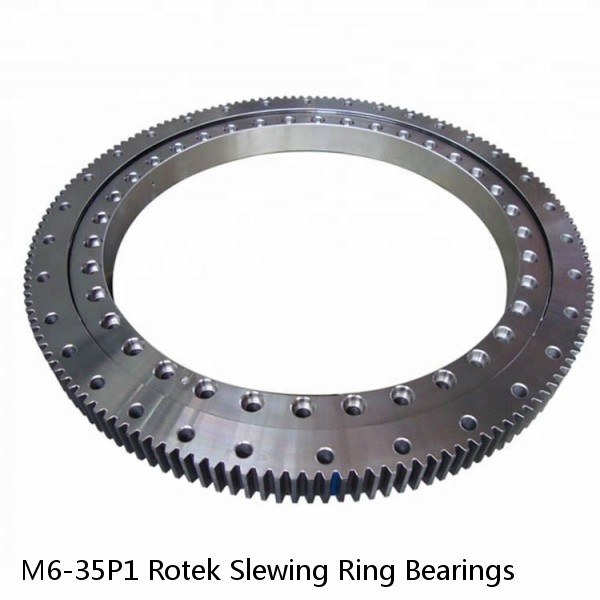 M6-35P1 Rotek Slewing Ring Bearings