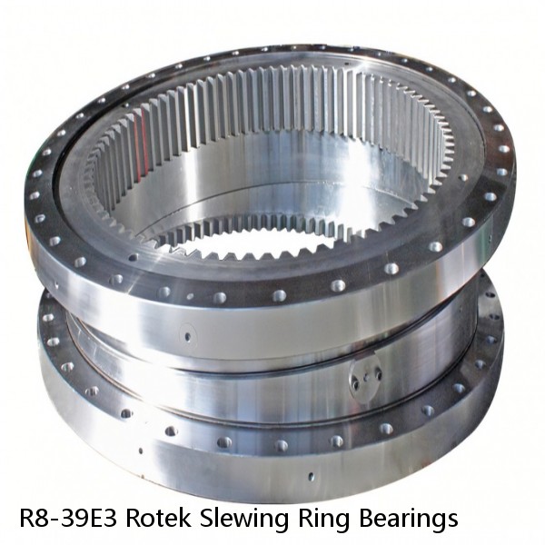 R8-39E3 Rotek Slewing Ring Bearings