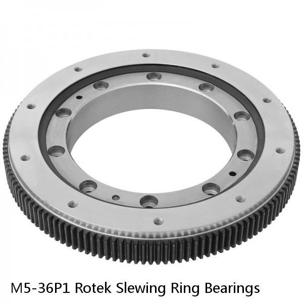 M5-36P1 Rotek Slewing Ring Bearings