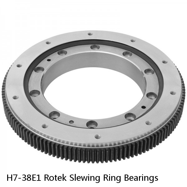 H7-38E1 Rotek Slewing Ring Bearings