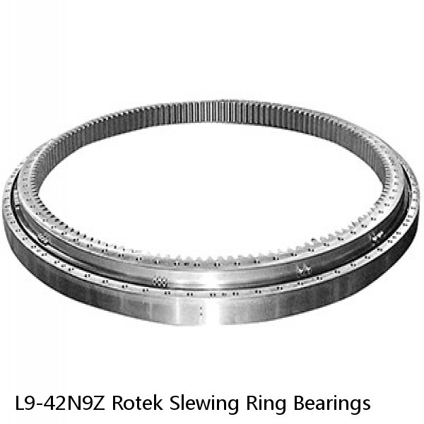 L9-42N9Z Rotek Slewing Ring Bearings