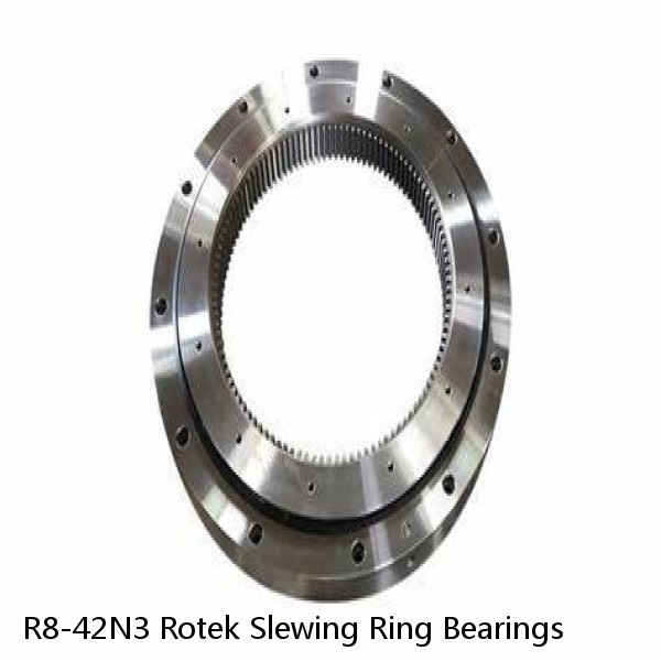 R8-42N3 Rotek Slewing Ring Bearings