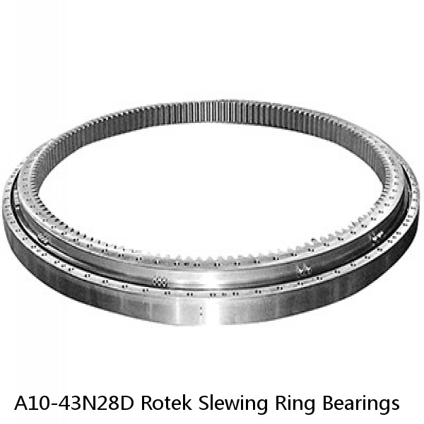 A10-43N28D Rotek Slewing Ring Bearings