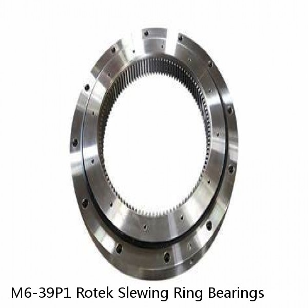 M6-39P1 Rotek Slewing Ring Bearings