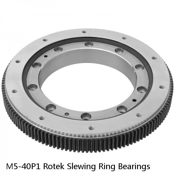 M5-40P1 Rotek Slewing Ring Bearings