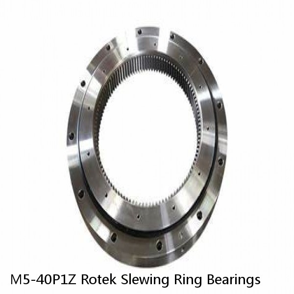 M5-40P1Z Rotek Slewing Ring Bearings