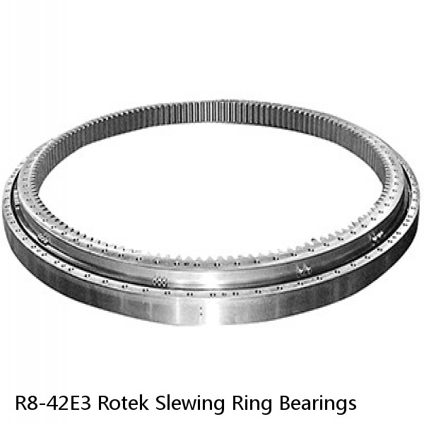 R8-42E3 Rotek Slewing Ring Bearings