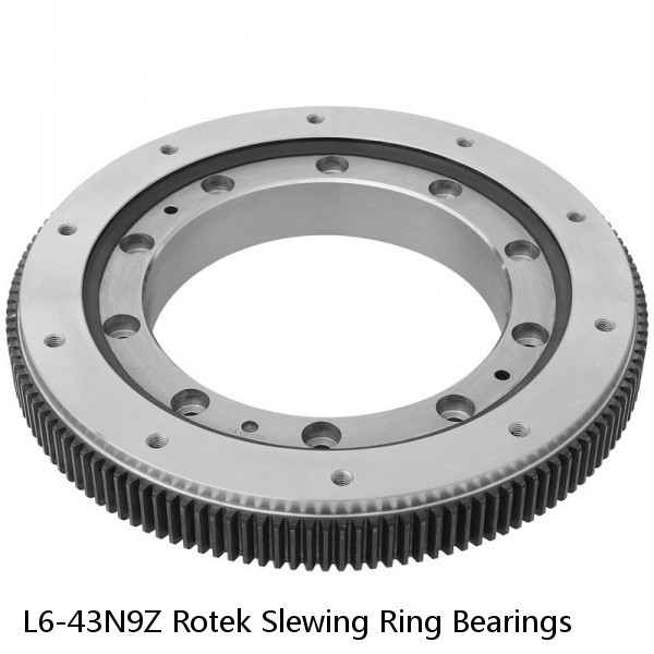 L6-43N9Z Rotek Slewing Ring Bearings