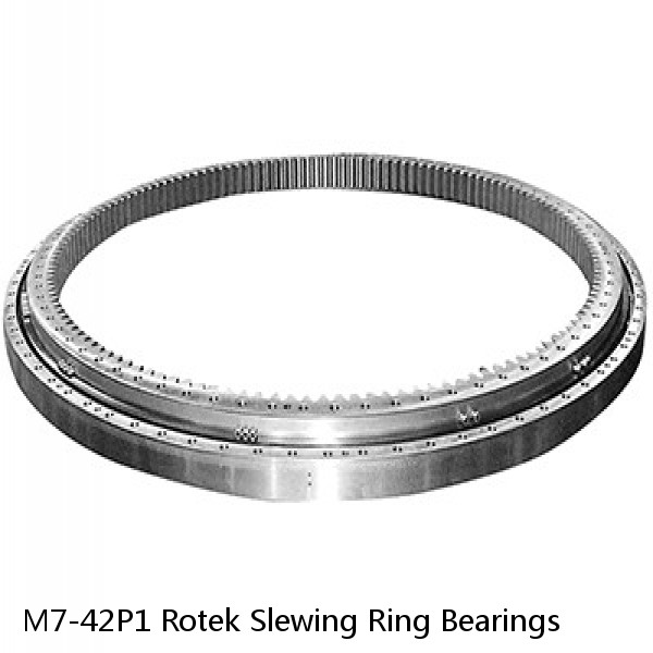 M7-42P1 Rotek Slewing Ring Bearings