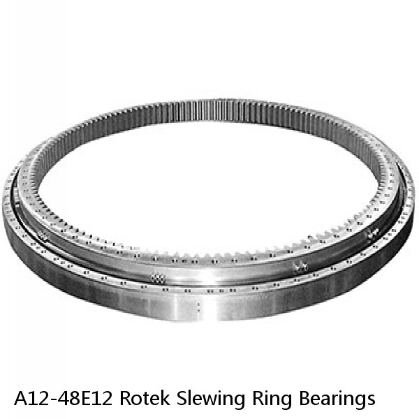 A12-48E12 Rotek Slewing Ring Bearings