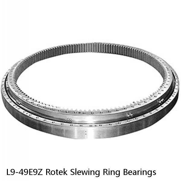 L9-49E9Z Rotek Slewing Ring Bearings