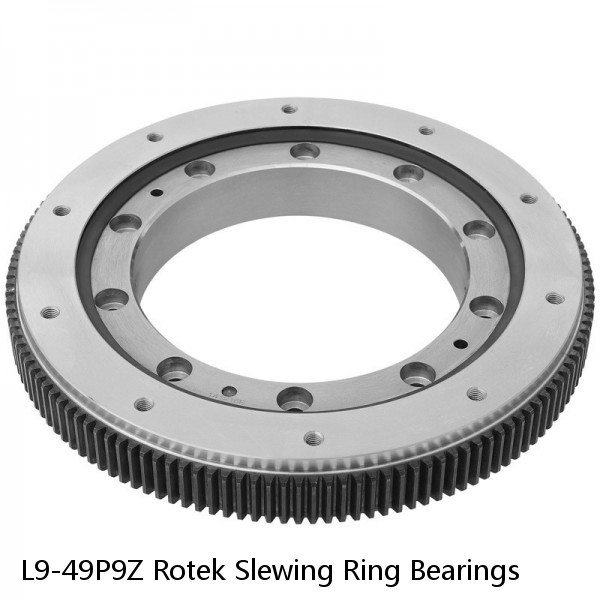 L9-49P9Z Rotek Slewing Ring Bearings