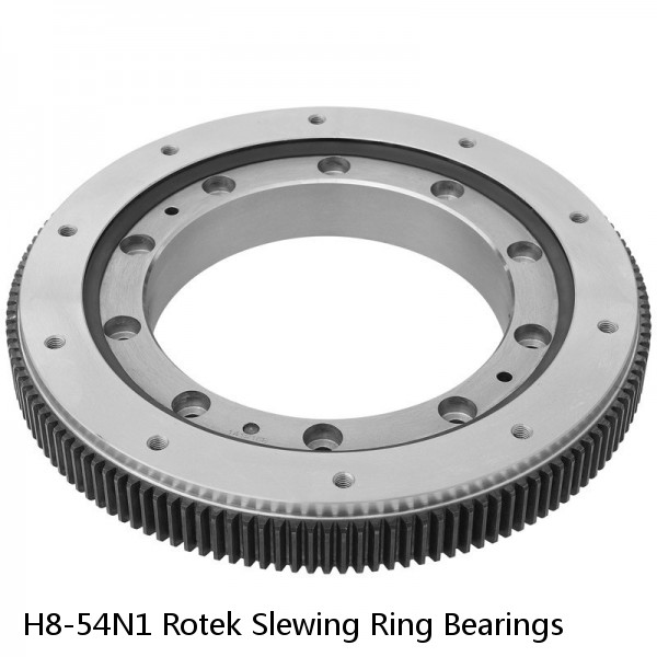 H8-54N1 Rotek Slewing Ring Bearings