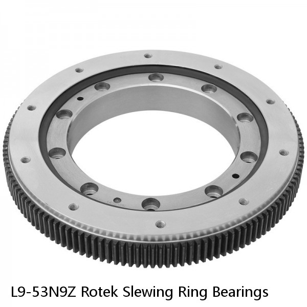 L9-53N9Z Rotek Slewing Ring Bearings