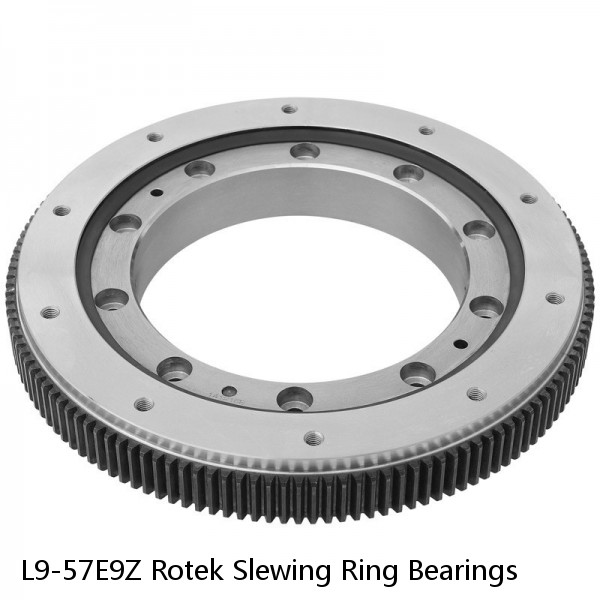 L9-57E9Z Rotek Slewing Ring Bearings