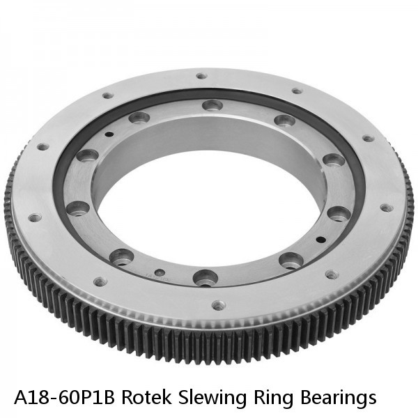 A18-60P1B Rotek Slewing Ring Bearings