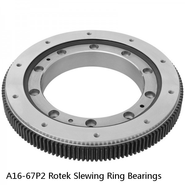 A16-67P2 Rotek Slewing Ring Bearings