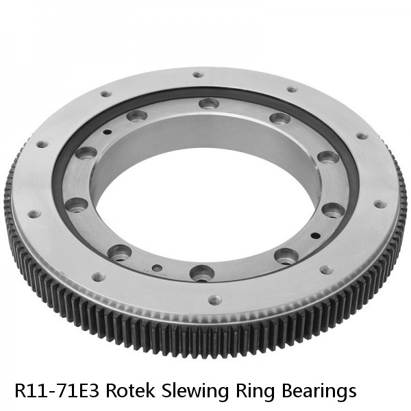 R11-71E3 Rotek Slewing Ring Bearings