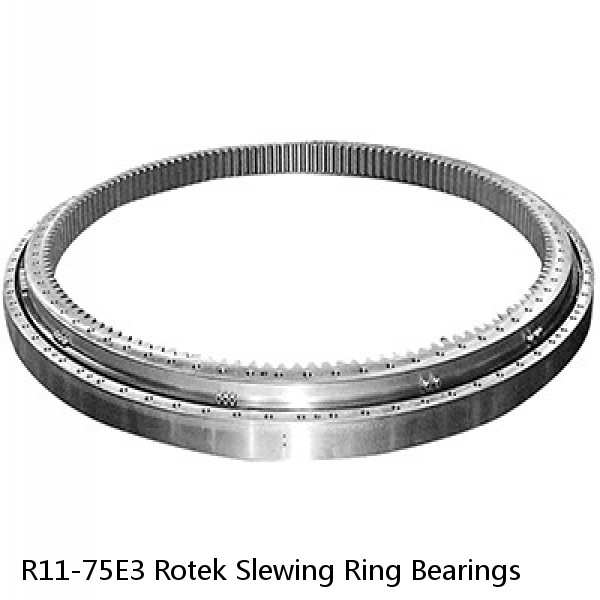 R11-75E3 Rotek Slewing Ring Bearings