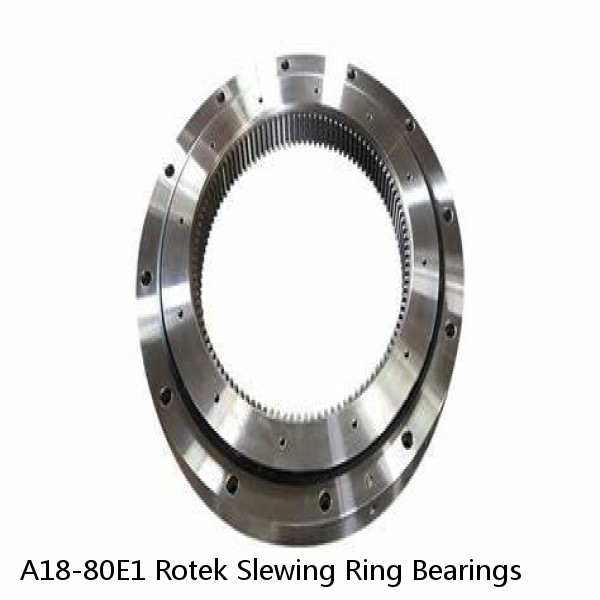 A18-80E1 Rotek Slewing Ring Bearings