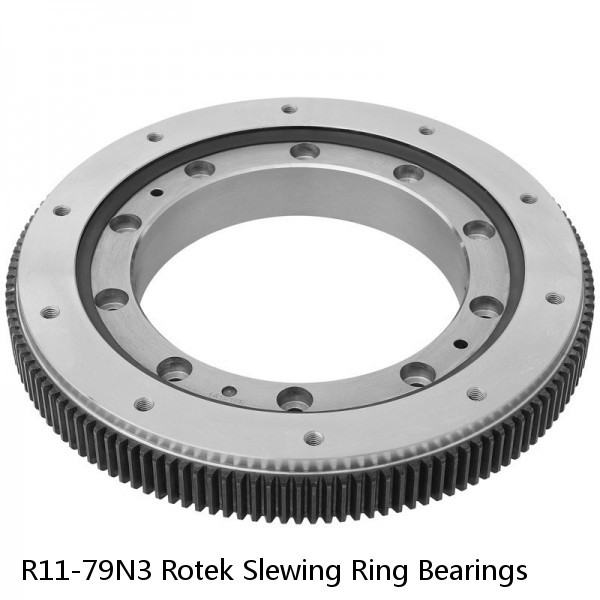 R11-79N3 Rotek Slewing Ring Bearings