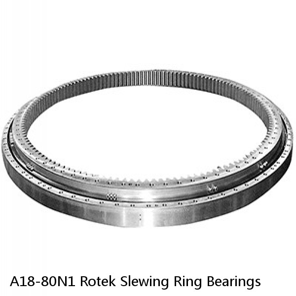 A18-80N1 Rotek Slewing Ring Bearings